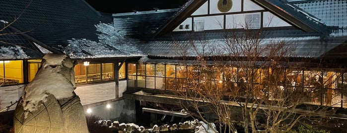 Mt. Fuji Japanese Steak House is one of Hudson Valley.