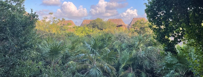 Azulik Hotel & Maya Spa is one of Tulum.