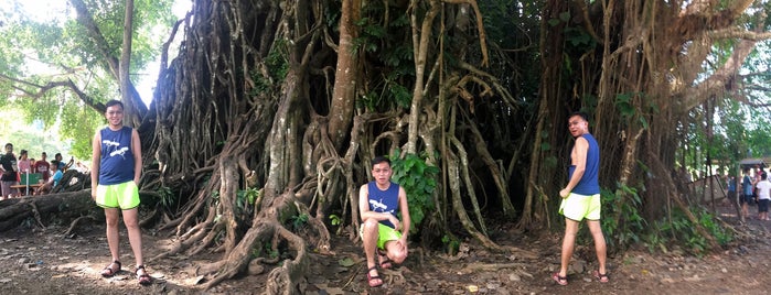 Balete Eco-Park is one of Orte, die Agu gefallen.