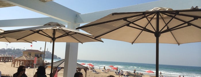 Manta Ray is one of Israel-restaurant.