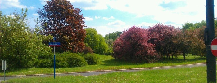 Park Kępa Potocka is one of Warszawa.