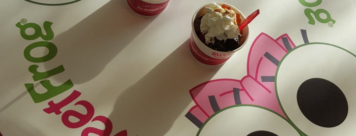 Ice Cream / FroYo