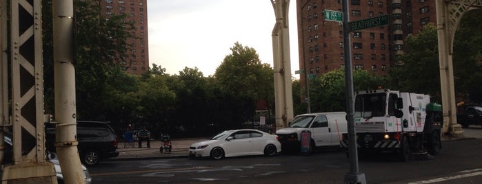 155th Street Viaduct is one of Brown.