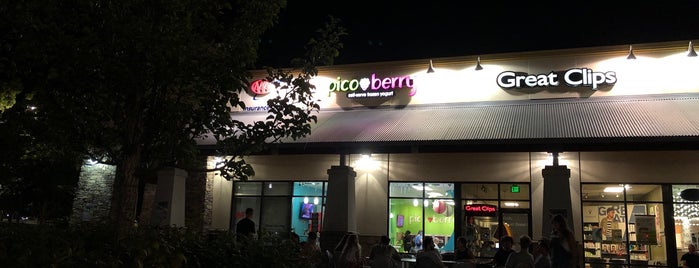 Pico Berry is one of Jason’s Liked Places.