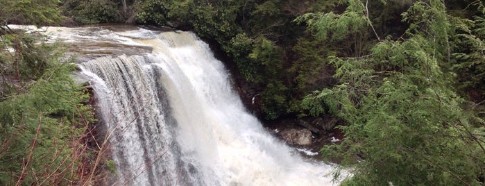 Muddy Creek Falls is one of Waterfalls - 2.