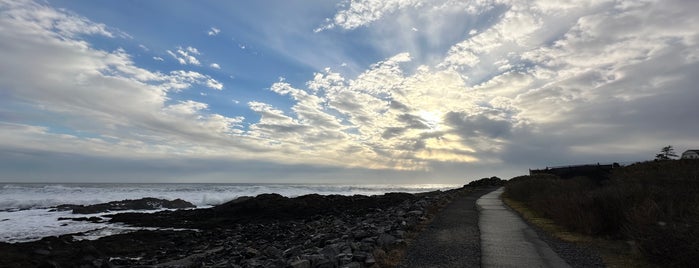 Marginal Way Walk is one of A-catie-a.