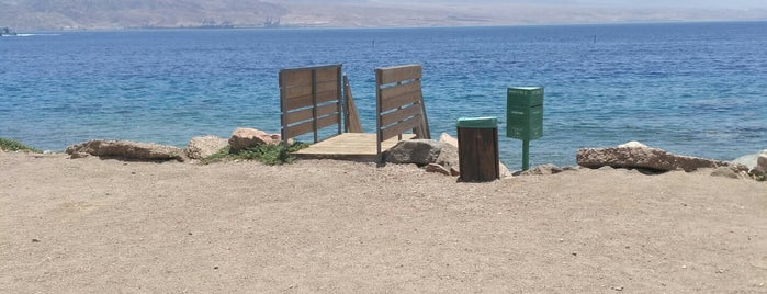 חוף המגדלור is one of Eilat.