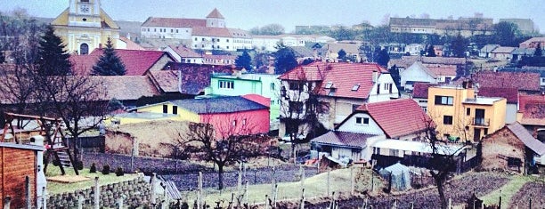 Čejkovice is one of [Č] Města, obce a vesnice ČR | Cities&towns CZ.