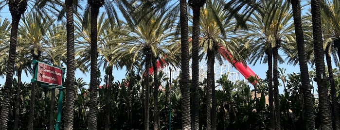 City of Anaheim is one of California Dreamin'.