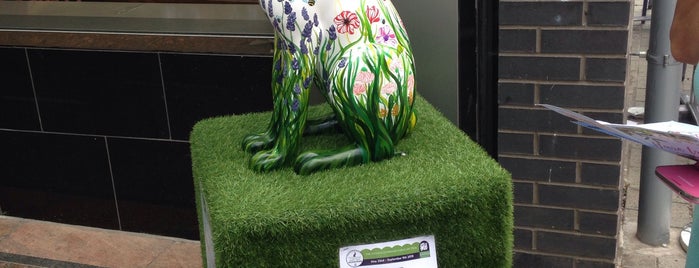 Wild Flower Hare is one of Cotswolds AONB Hare Trail 2018.
