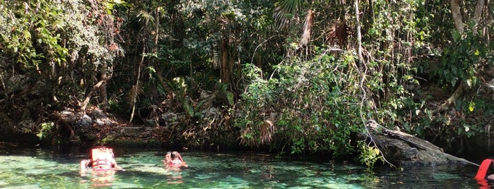 Cenote Cristalino is one of Tulum.