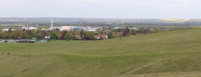 Therfield Heath is one of Tempat yang Disukai Antonella.