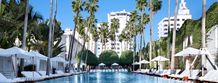 Delano South Beach is one of Hotels where celebs have lived.