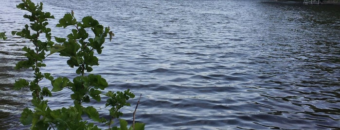 Lake Truesdale is one of Lugares favoritos de Jason.