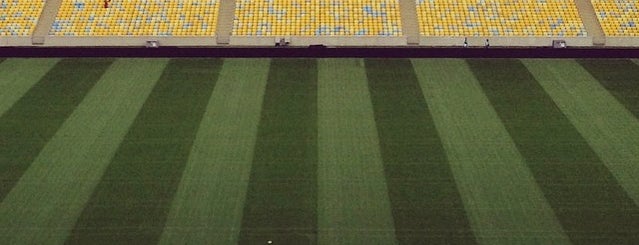 Estádio Jornalista Mário Filho is one of 2014 FIFA World Cup venues.