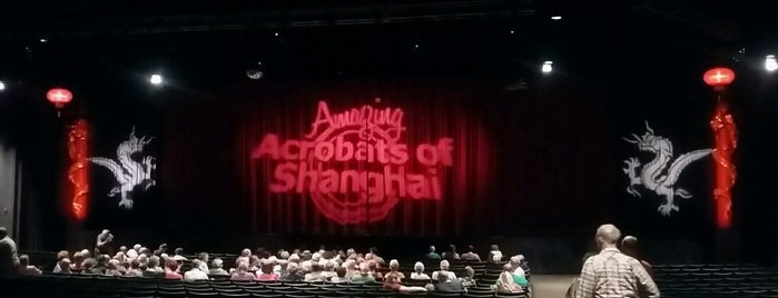 The New Shanghai Circus is one of All-time favorites in United States.