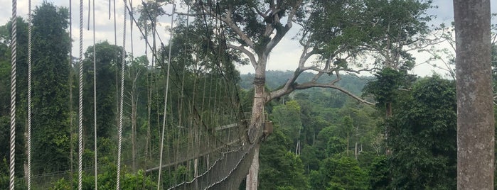 Kakum National Park is one of GH.