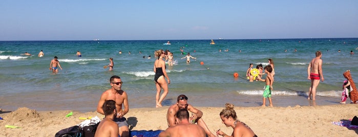 Life Beach Club is one of Mis rincones de Alicante.
