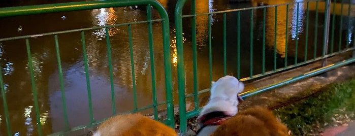 Punggol Park Connector is one of Lugares favoritos de Mark.