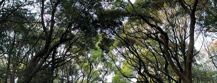 Meiji Jingu Gyoen is one of Tokyo.