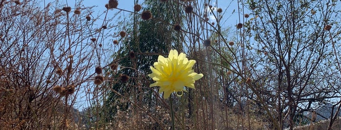 Amatlán is one of Mario'nun Kaydettiği Mekanlar.