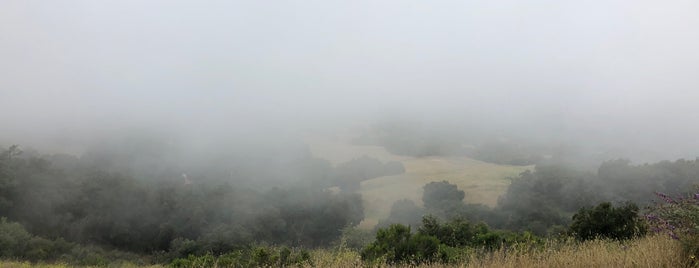 Topanga State Park: Eagle Rock Loop Trail is one of Guests in Town.