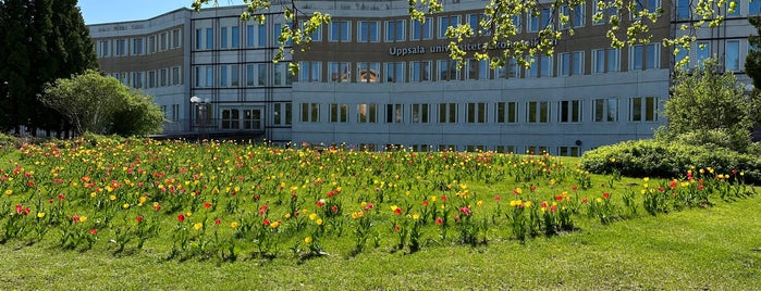 Ekonomikum is one of Universitetsbyggnader Uppsala.