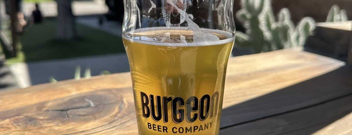 Burgeon at The Oasis is one of San Diego Breweries.