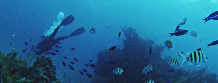 Manchones Reef is one of Denis'in Beğendiği Mekanlar.