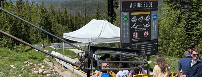 Alpine Slide is one of Colorado Tourism.