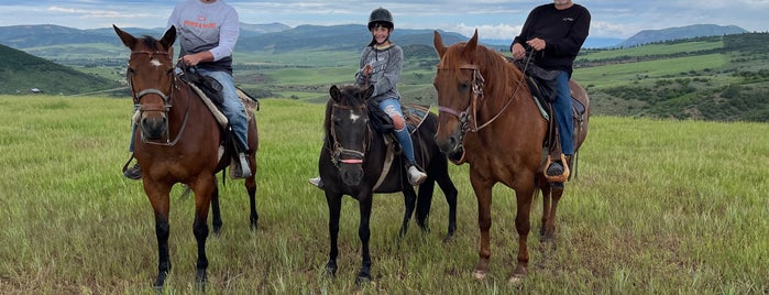 Saddleback Ranch is one of Steamboat Springs 2012!.