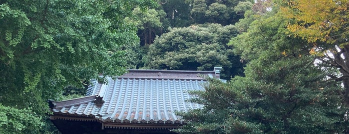 来宮神社 is one of 静岡県(静岡市以外)の神社.