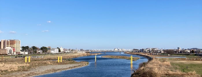 多摩川原橋 is one of Tamagawa bridges.