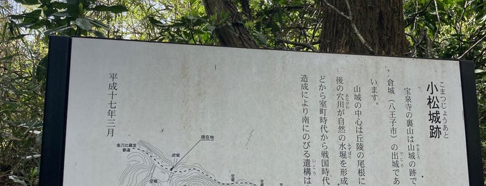 小松城跡 is one of 訪問済みの城2.