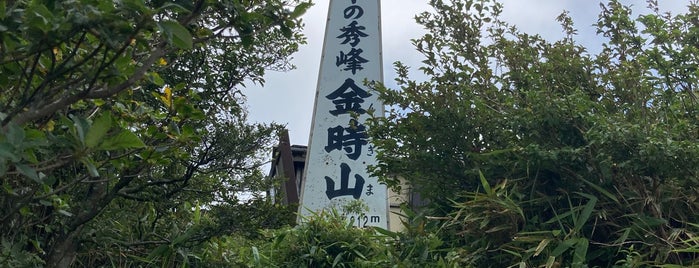 金時山山腹 is one of 横浜周辺のハイキングコース.