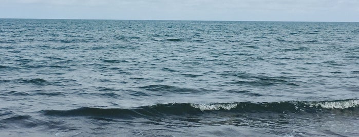 Chamkhaleh Beach | ساحل چمخاله is one of گیلان.