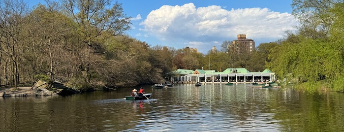 Central Park Rowboat is one of Adult Camp!.