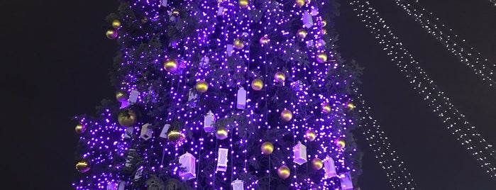 Новорічна ялинка на Софійській площі is one of V͜͡l͜͡a͜͡d͜͡y͜͡S͜͡l͜͡a͜͡v͜͡a͜͡さんのお気に入りスポット.