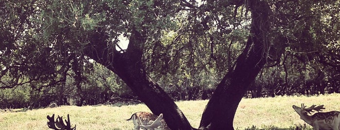 Indoor Safari Park is one of Places To Go.