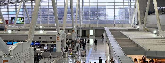 International Terminal is one of Aeroportos.