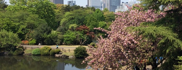 新宿御苑 is one of Tokyo culture.