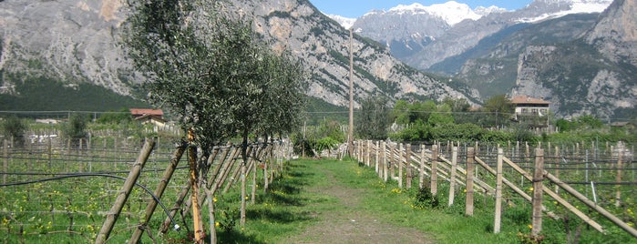 Vini e Cantine di Vino da visitare