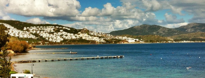 Kargı Koyu is one of bodrum plaj.
