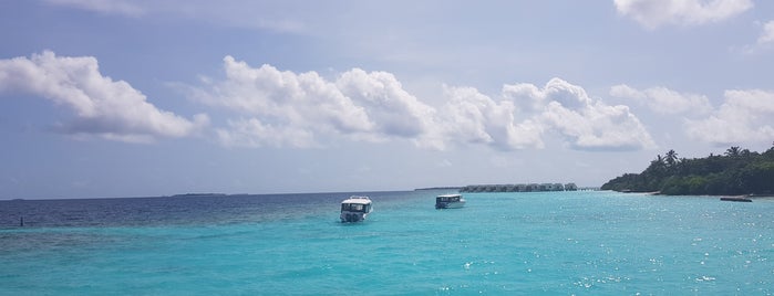 Dhigali Island Resort, Maldives is one of Lieux qui ont plu à M.