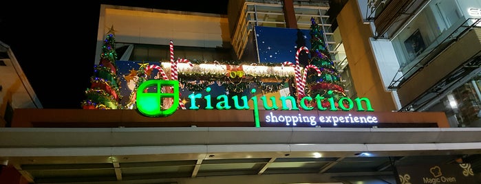 riaujunction is one of Mall.