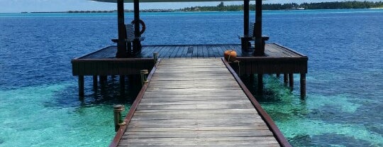 Ranveli Village - Maldives is one of M : понравившиеся места.