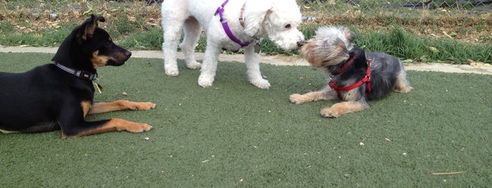 Los Gatos Creek Dog Park is one of Top 5 Dog Parks in Silicon Valley.