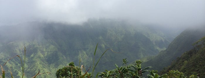 Alakai Swamp is one of Kauai 2.