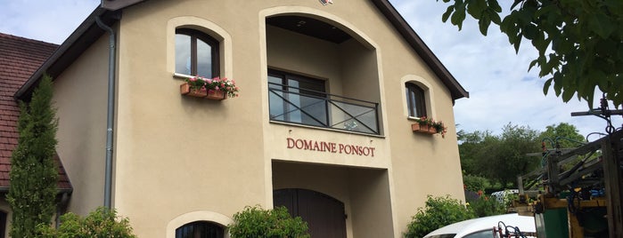 Domaine Ponsot is one of Wineries.