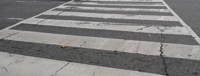 Yonge & Steeles is one of p (roads, intersections, areas - TO).